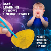 Dissect-It Discover-It Simulated Lab Dissection STEM Toy, Kids’ Home Learning Science Project, Great for Young Scientists!