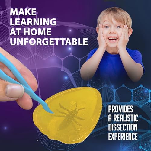 Dissect-It Discover-It Simulated Lab Dissection STEM Toy, Kids’ Home Learning Science Project, Great for Young Scientists!