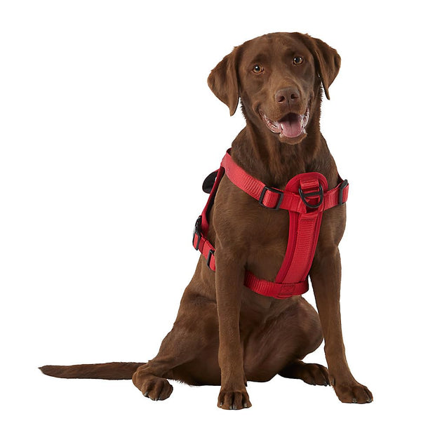 KONG Ultra Durable Waste Bag Harness (Large, Red)