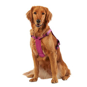 KONG Ultra Durable Waste Bag Harness (Large, Pink)