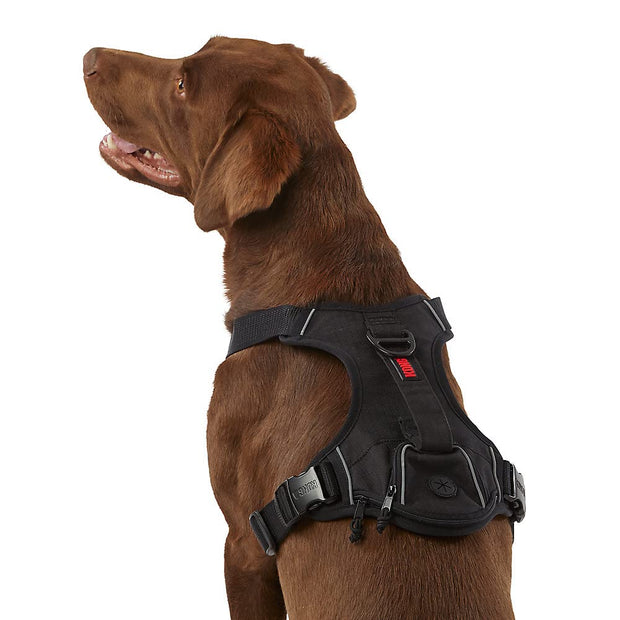 KONG Ultra Durable Waste Bag Harness (Large, Black)